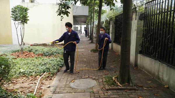 东莞市中大附校外国语学校杀虫