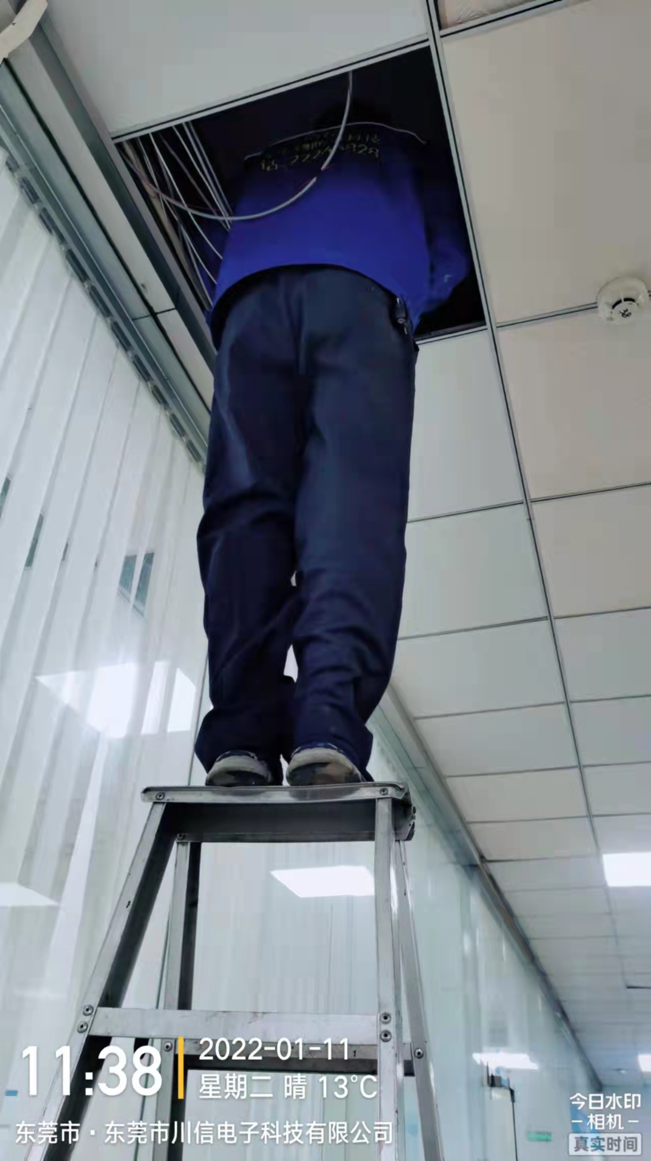 工厂办公室有了老鼠怎么办