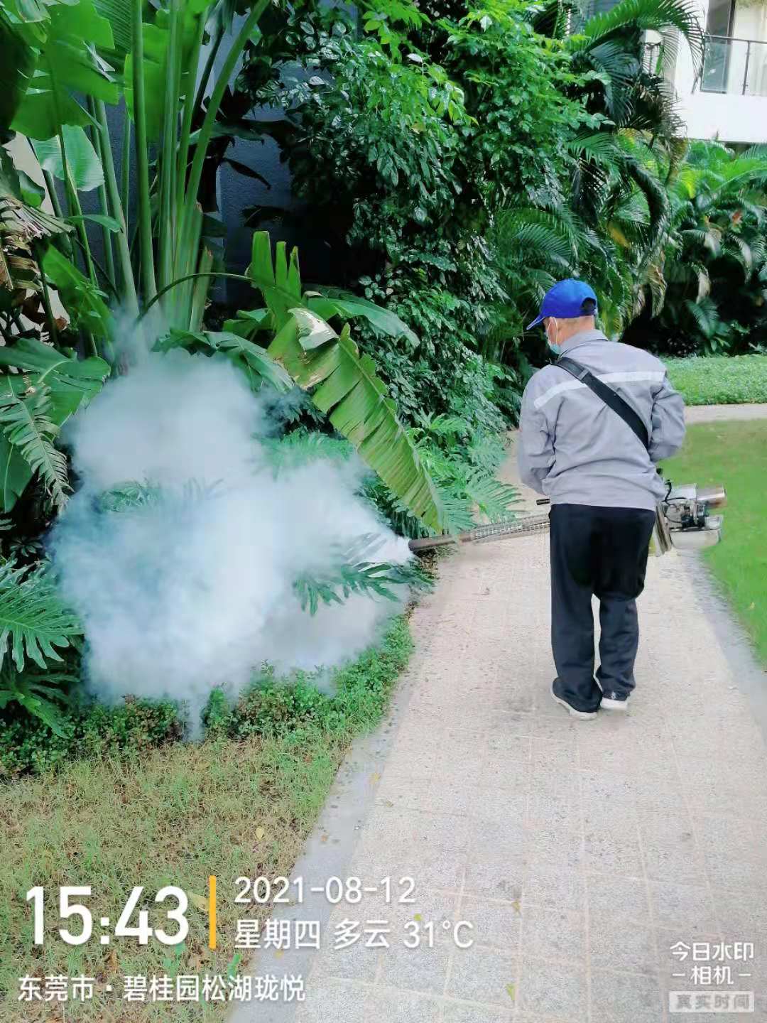 社区杀蚊虫